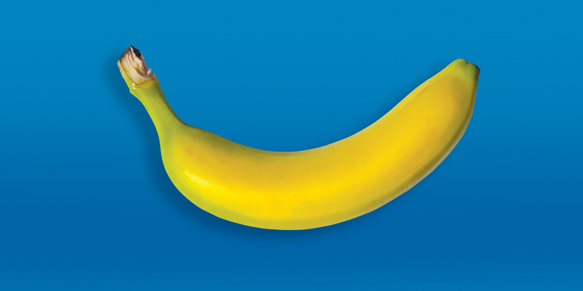 2026-2027-Lib-Tech-PDP-Bottom-Skate-Banana
