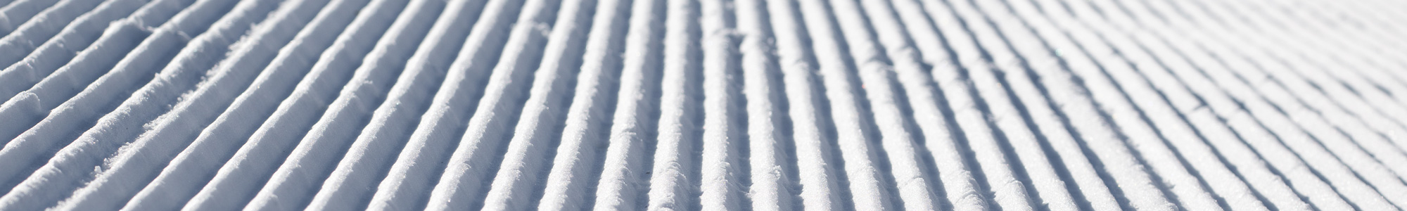 GNU-Youth-Snowboards-PLP-D2