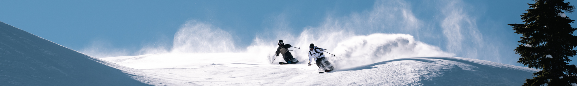 Lib-Tech-Mens-Skis-PLP-D3