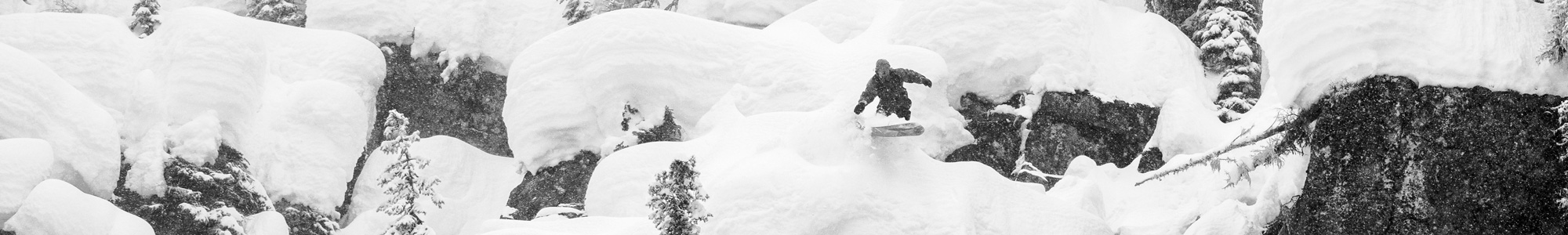 Lib-Tech-Mens-Snowboards-PLP-D4