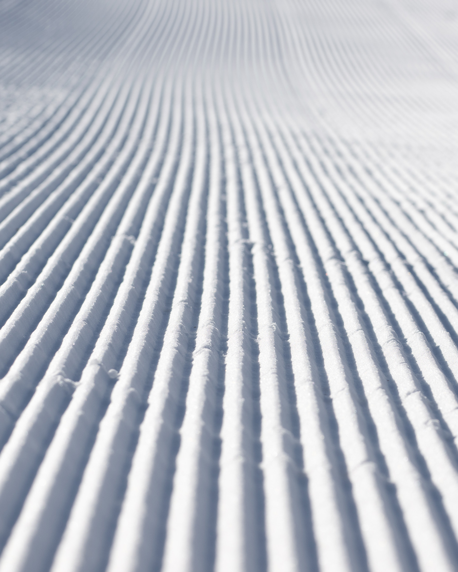 Lib-Tech-Snowboard-Finder-3