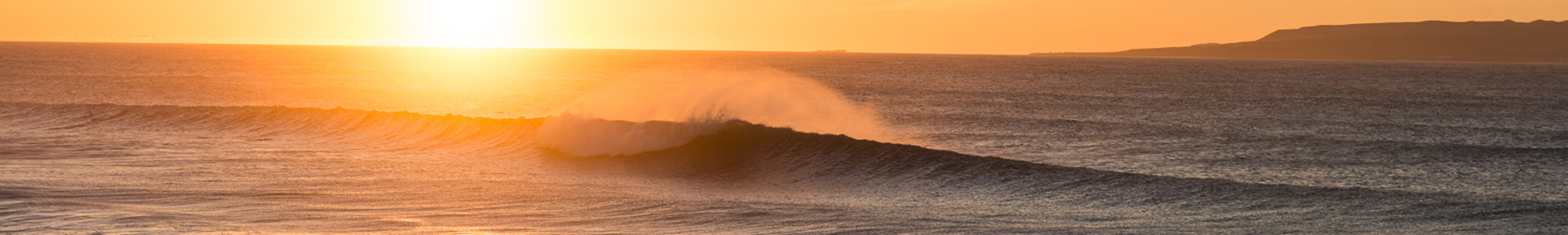 Lib-Tech-Surfboards-PLP-D2