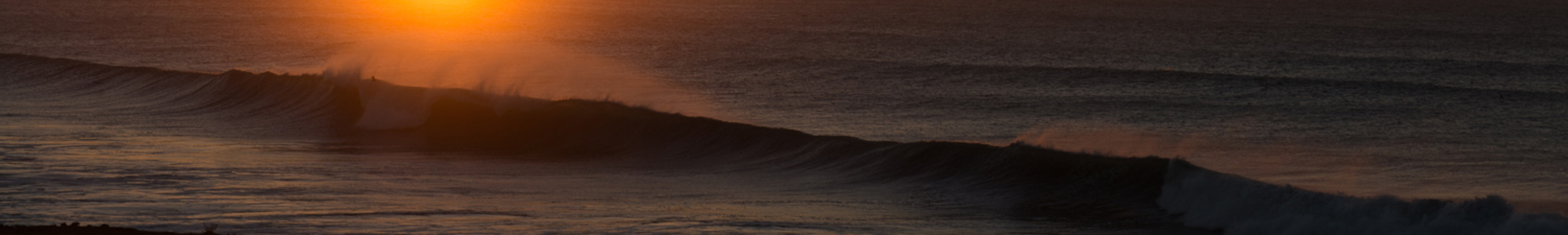 Lib-Tech-Surfboards-PLP-D3