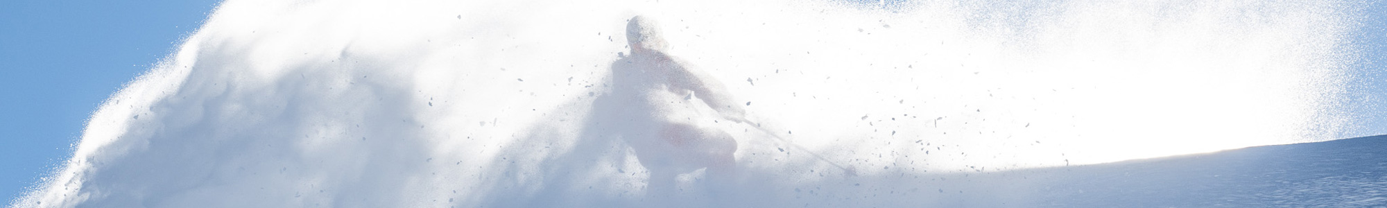Lib-Tech-Womens-Skis-PLP-D