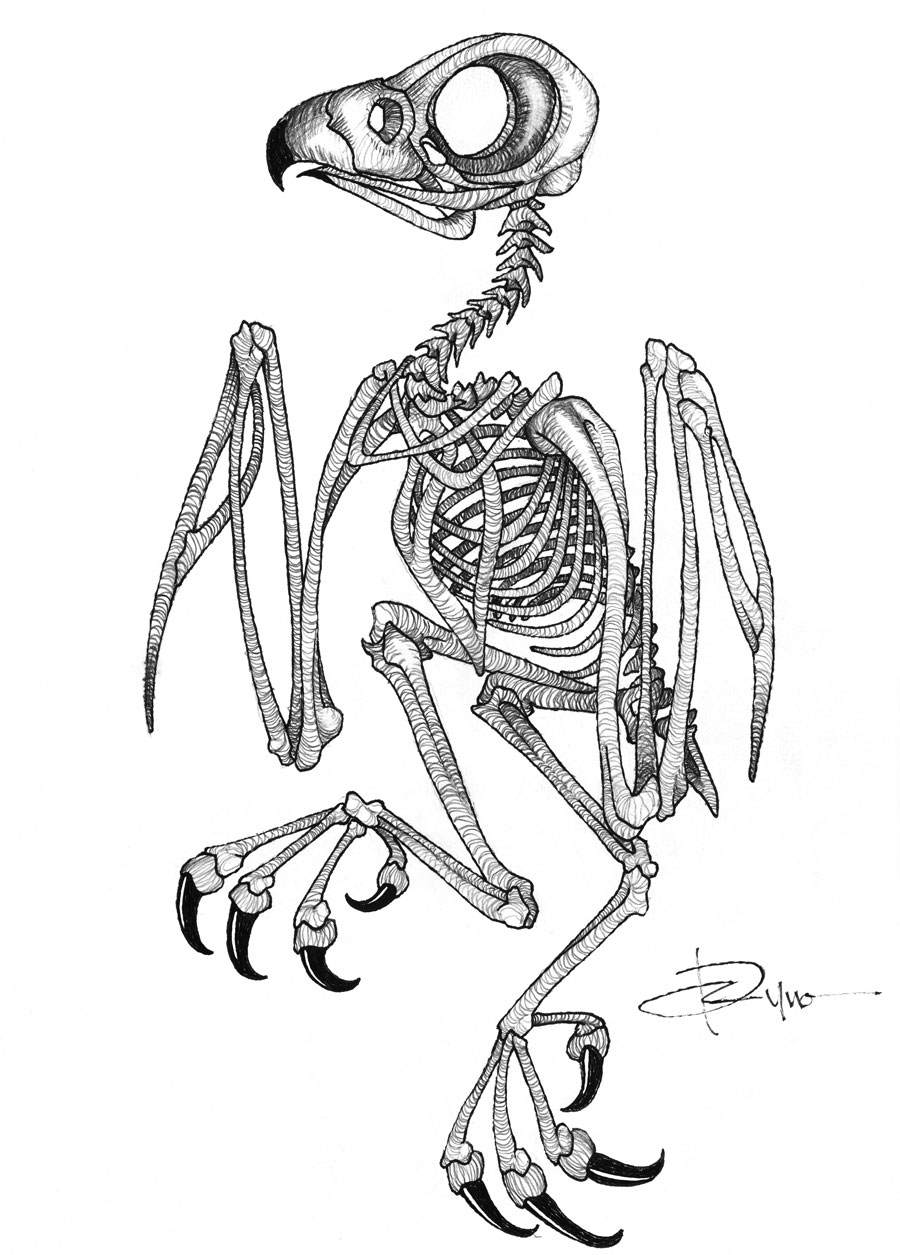 Ryno-art-skelleton-bird-for-Travis