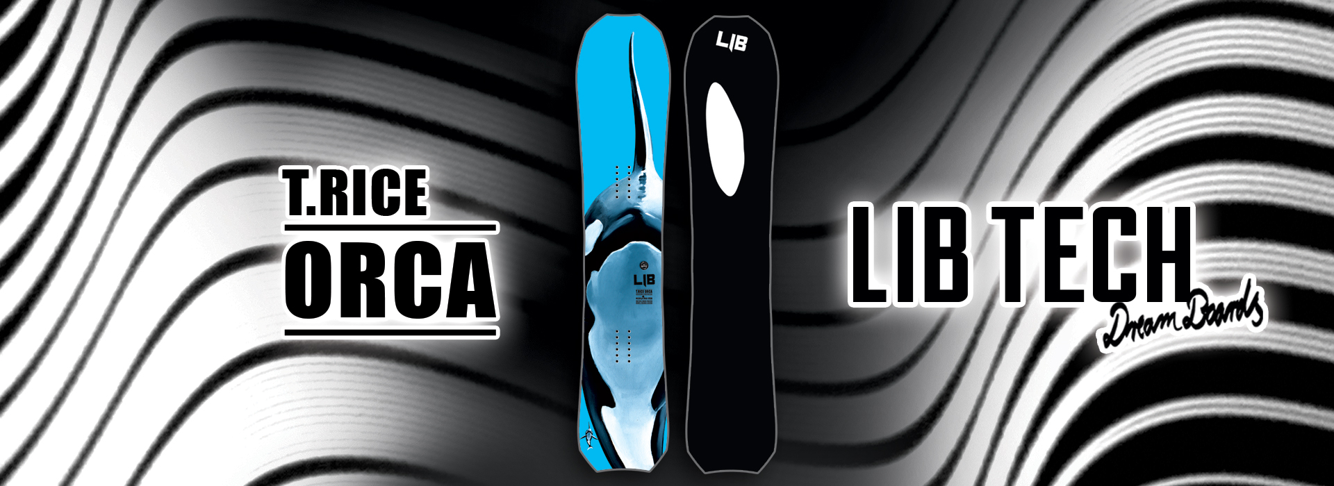 T-Rice-Orca-1920x700